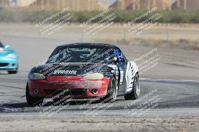 media/Oct-21-2023-Speed Ventures (Sat) [[ddf75163c5]]/Green/Grapvine/